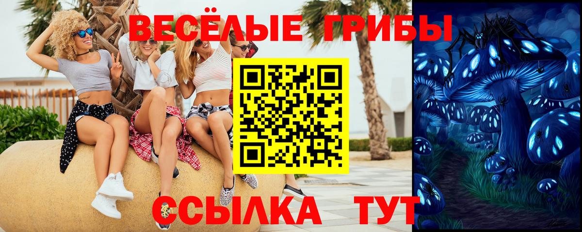 Галлюциногенные грибы мицелий  Псилоцибиновые грибы Psilocybe  купить закладку  Нижнекамск  Вход с VPN 